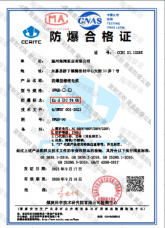 防爆型潜液电泵CT4 IP68证书